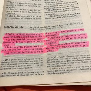  salmo 21 explicación