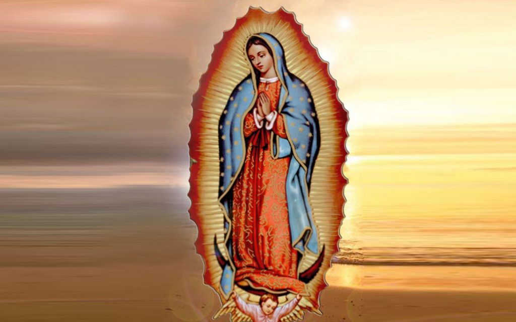  Virgen de Guadalupe 